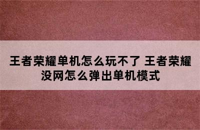 王者荣耀单机怎么玩不了 王者荣耀没网怎么弹出单机模式